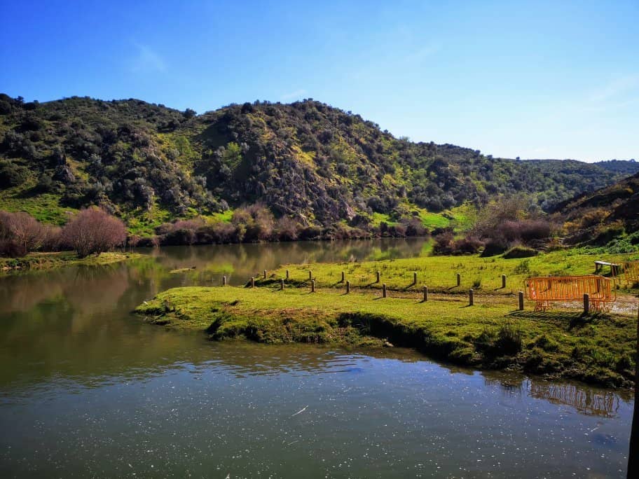 Riverside Picnic Spots