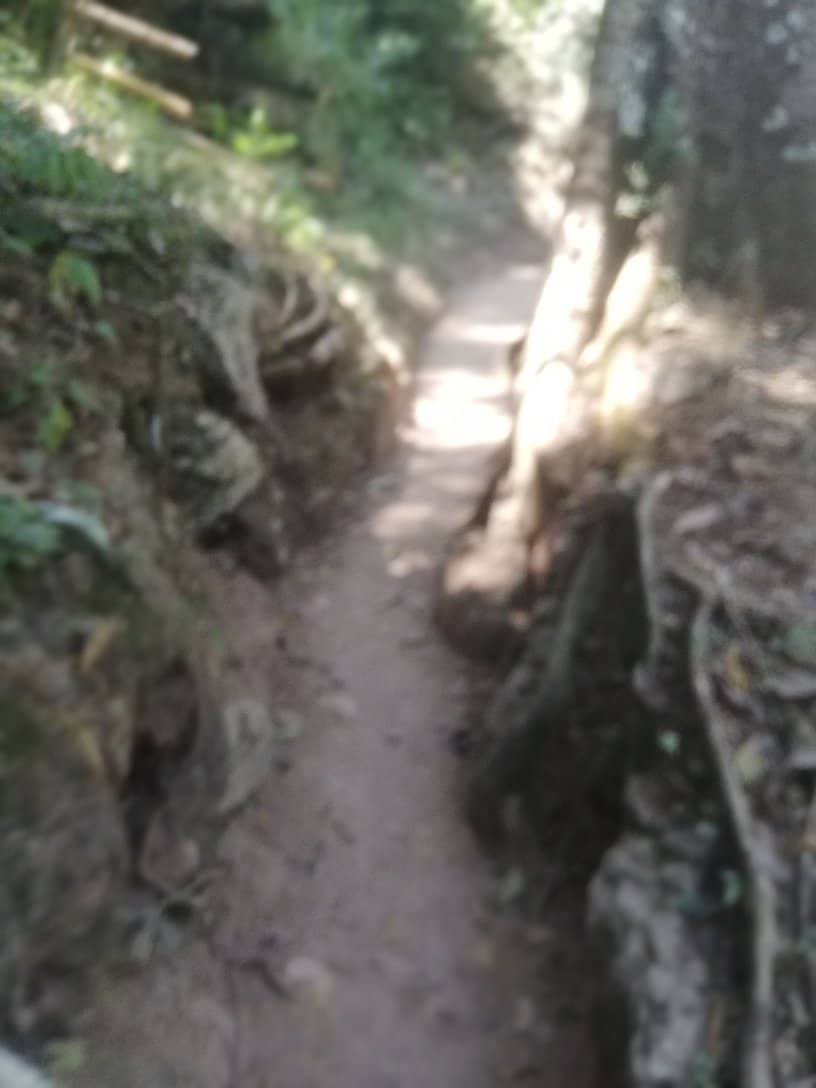 Vertical photo