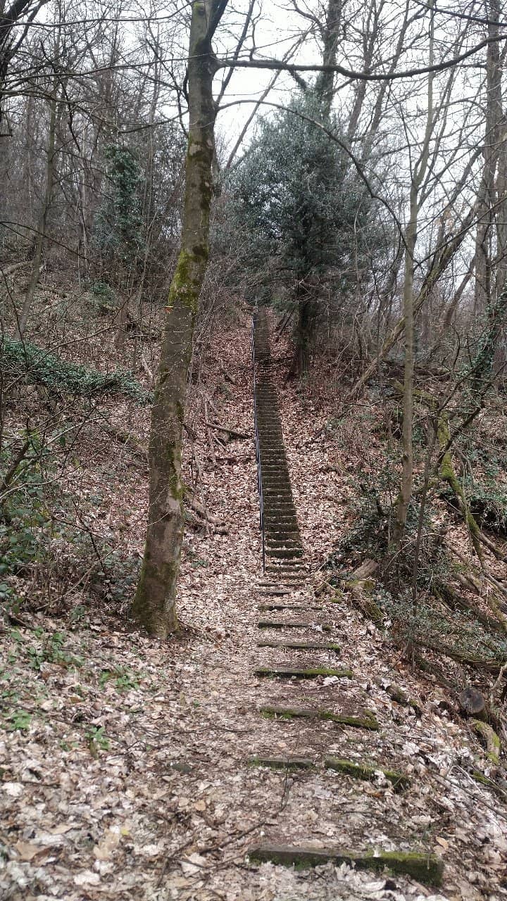 Pin Umbrela Viewpoint