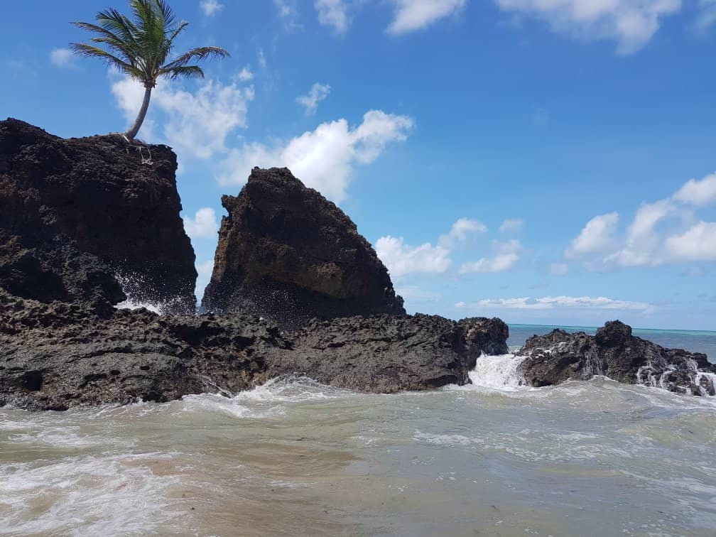 The 'Giant of the Sea'