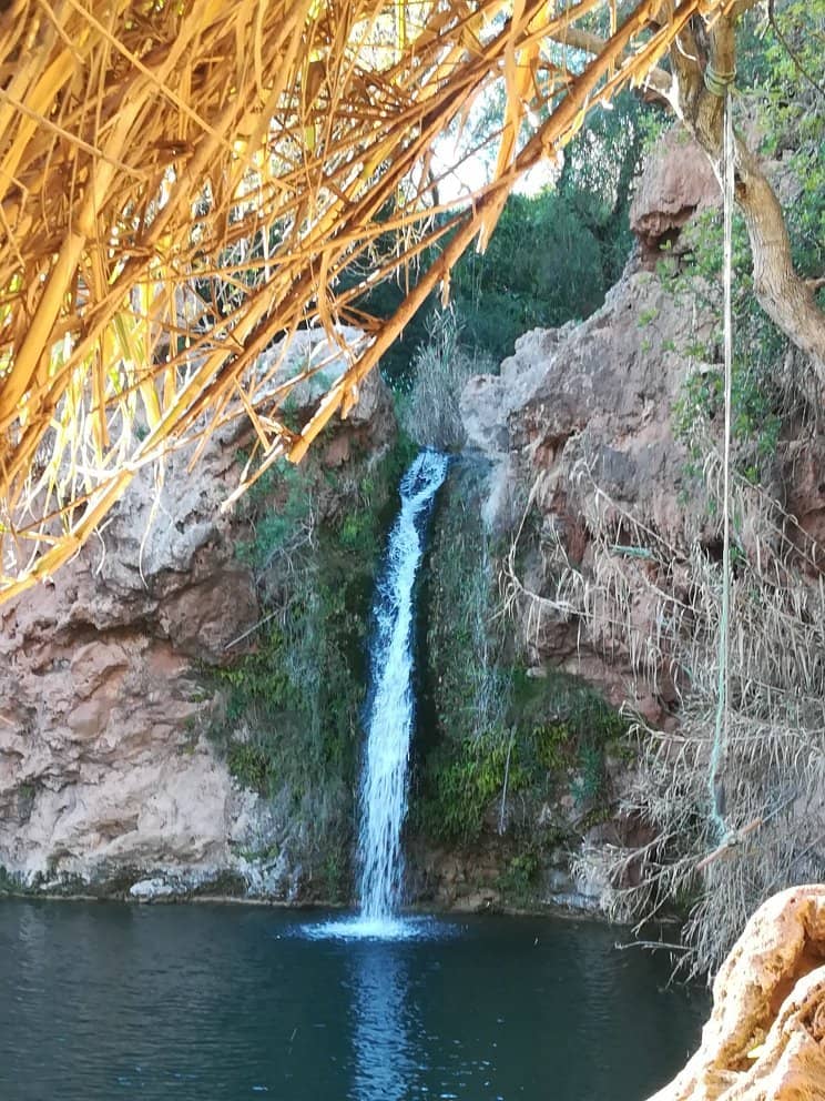 Natural Swimming Pool
