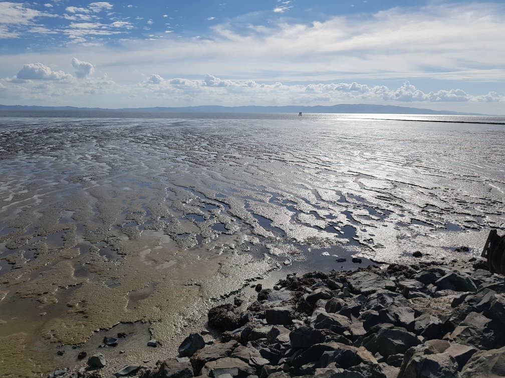 Poley Bay