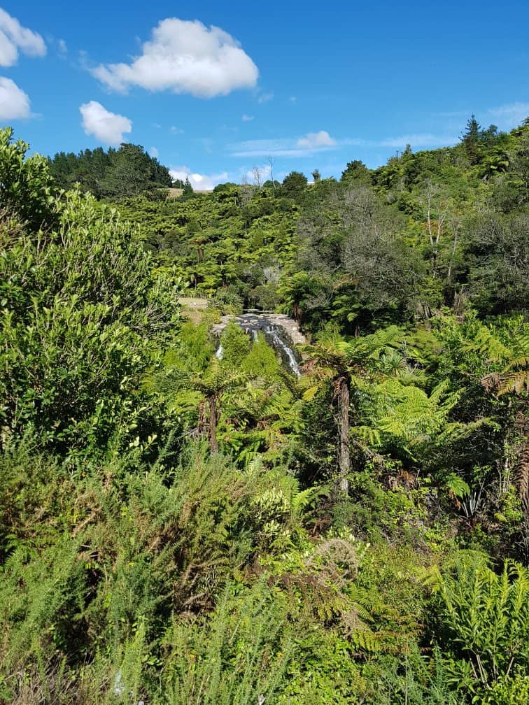 Vertical photo