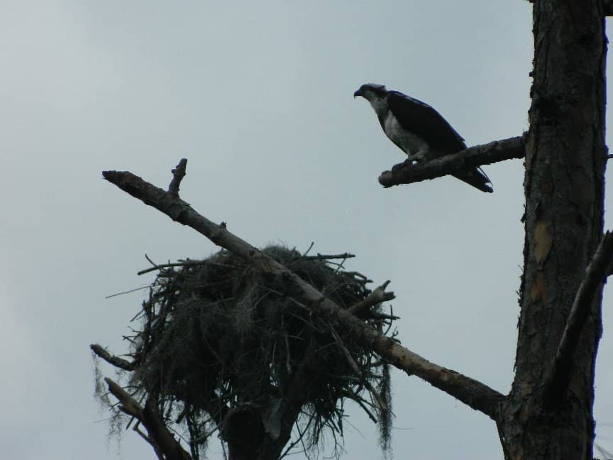 Loxahatchee River Access