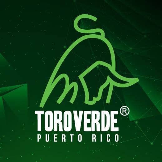 Toro Bikes