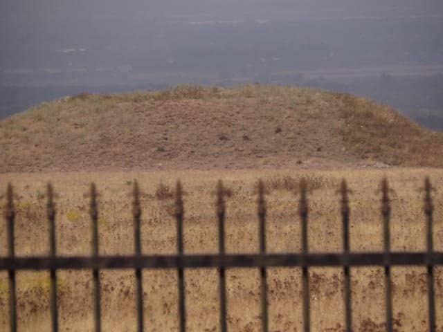 Vertical photo