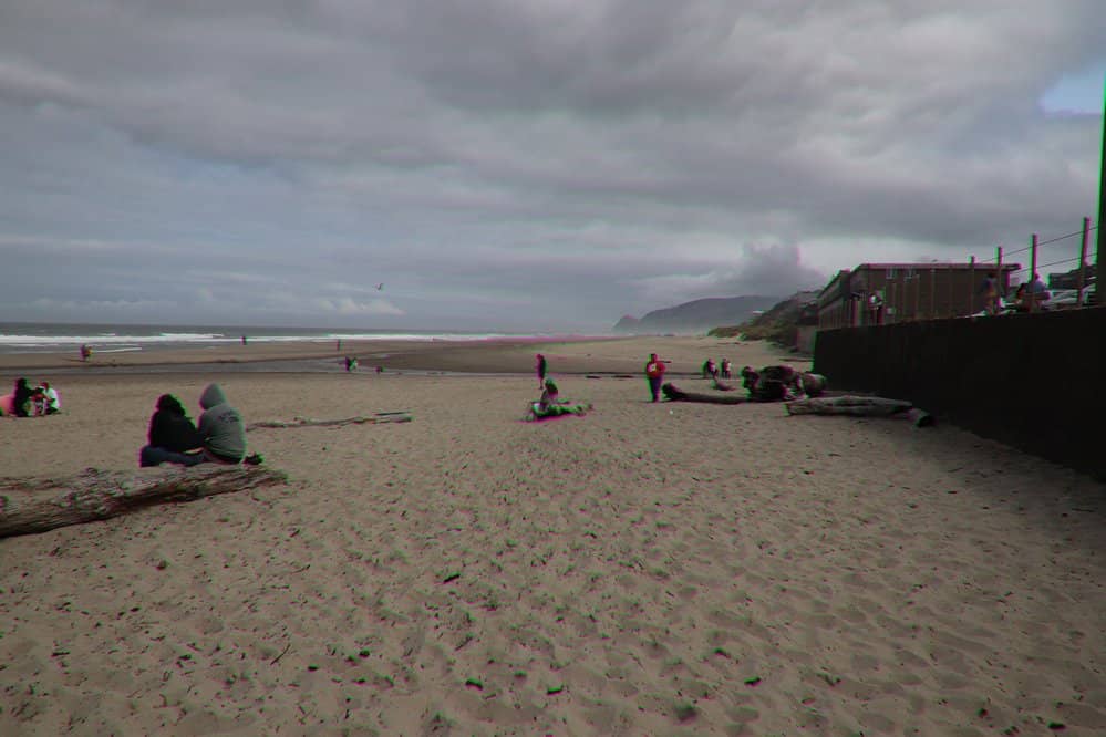 Beachcombing & Tide Pools