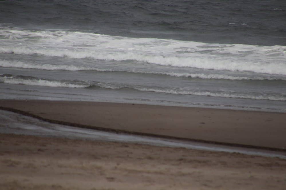 D River's Unique Flow