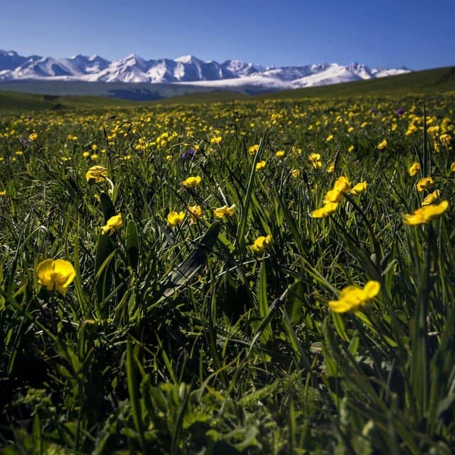 Vast Alpine Valleys