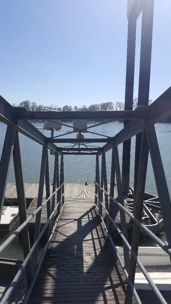 Birdwatching Paradise