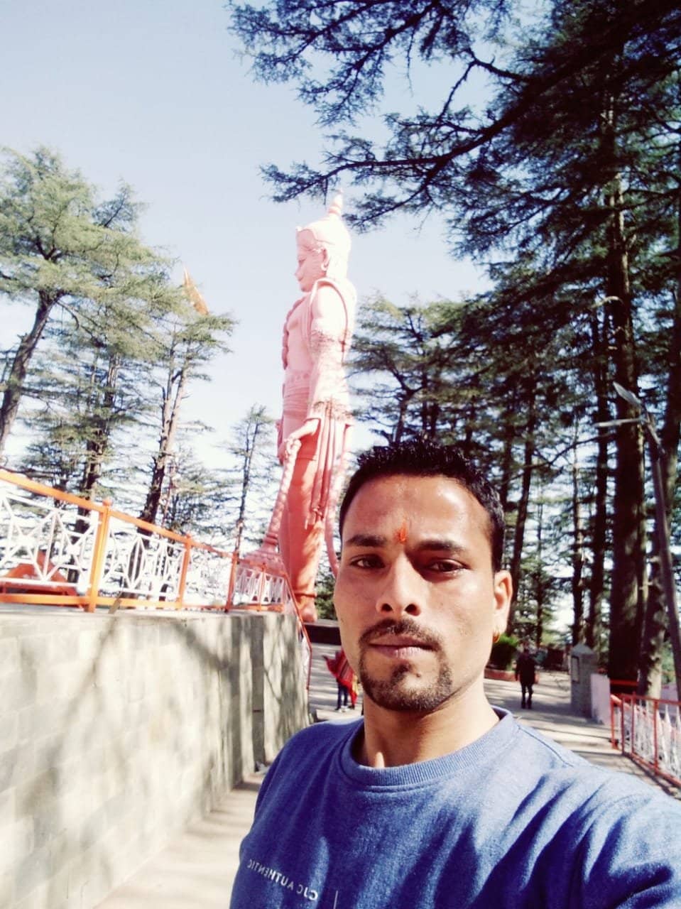 Panoramic Himalayan Views