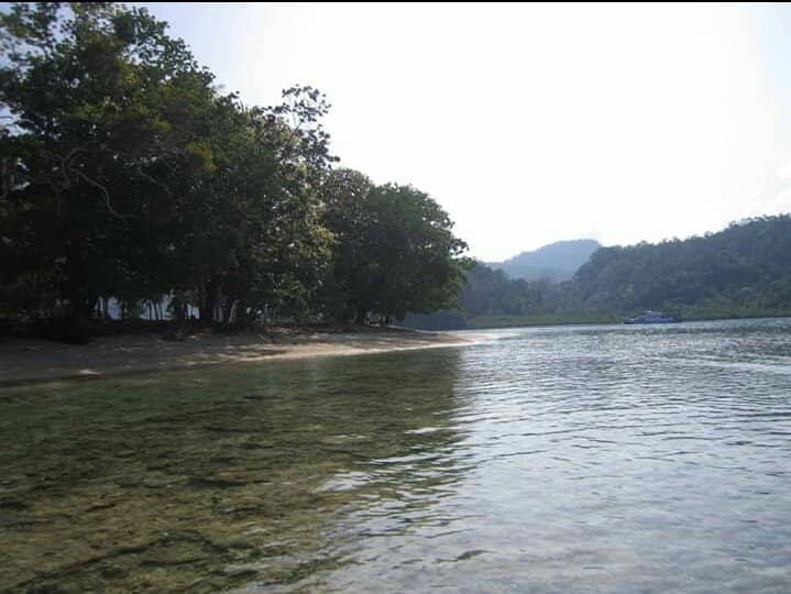 Scenic Island Summit Trail