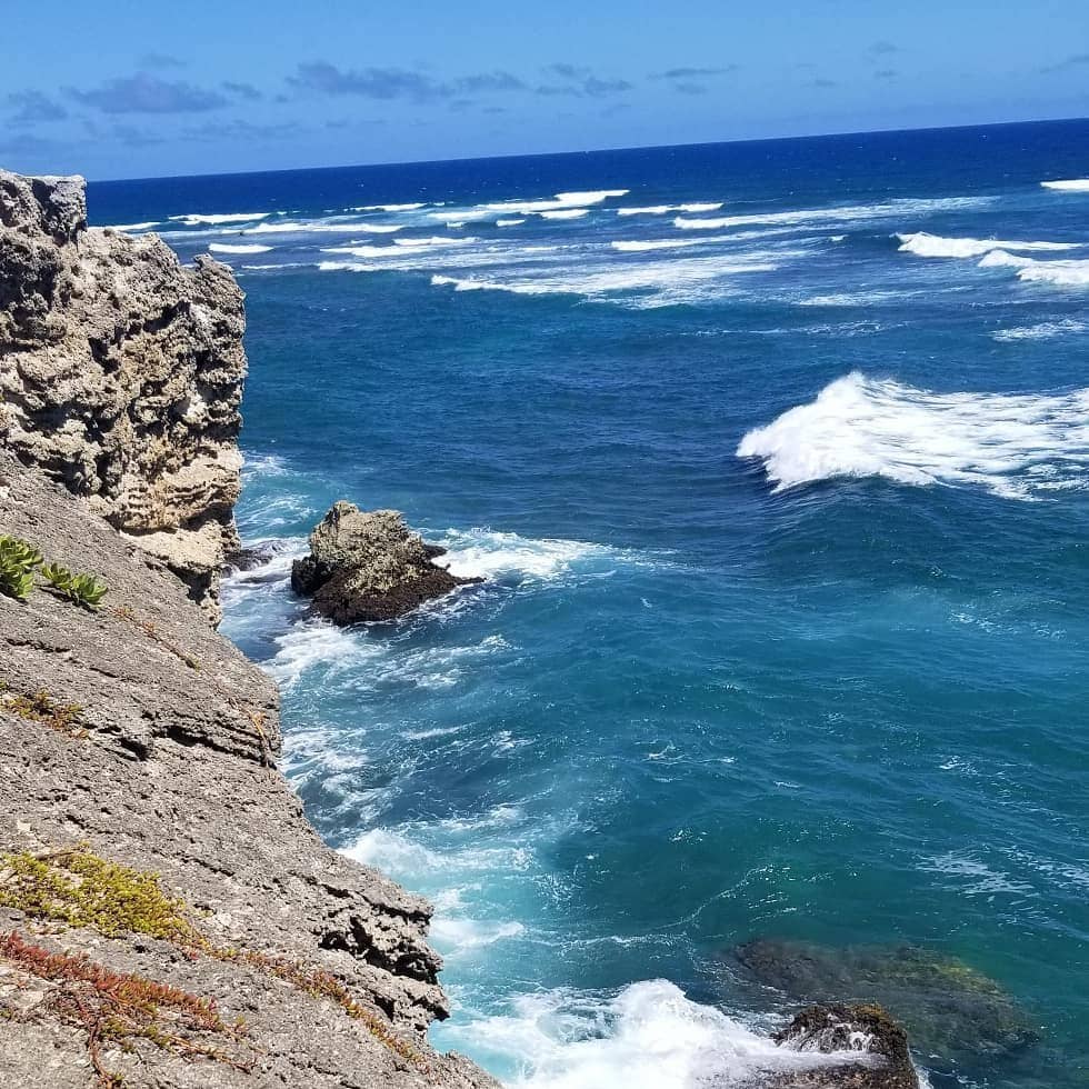 Surfing for Beginners