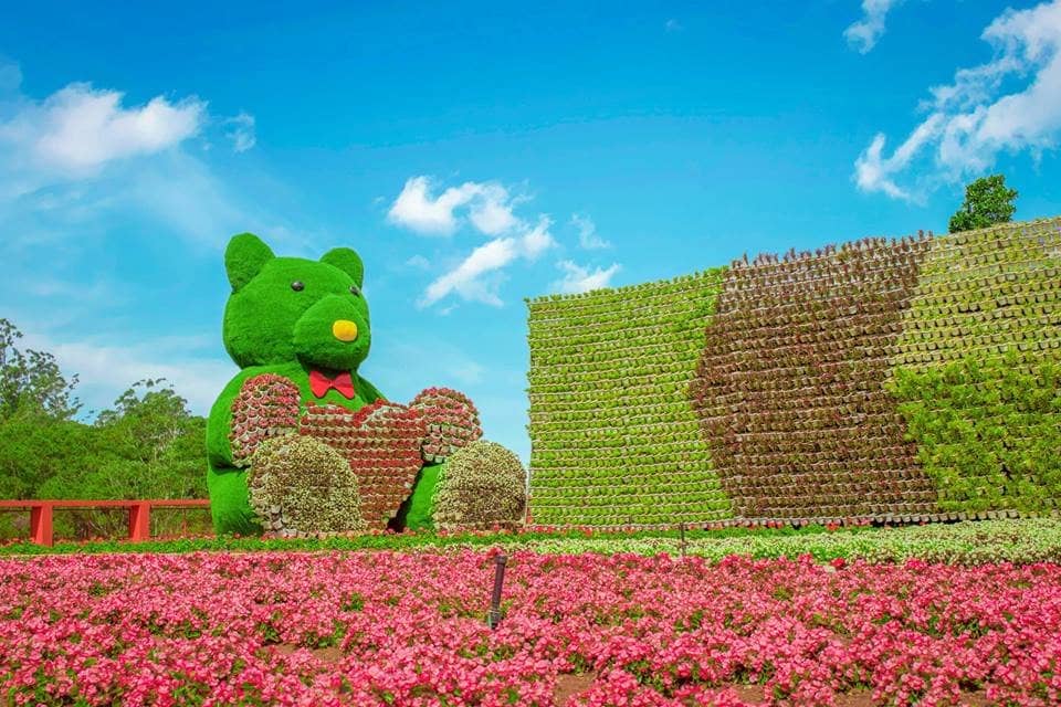 Adorable Farm Animals