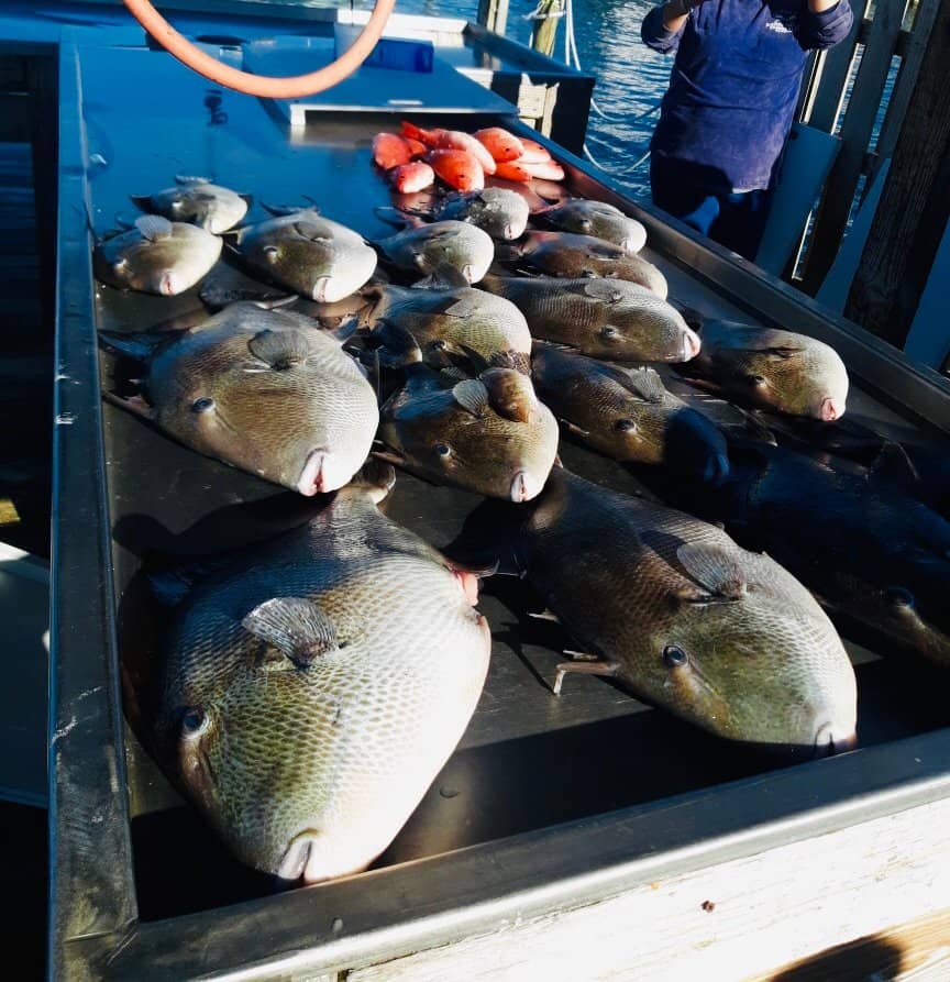 The Port at Zeke's Landing Marina