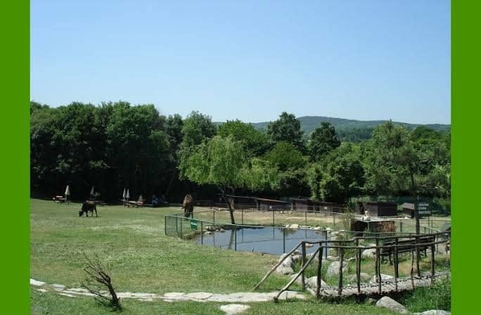 Shady Picnic Areas