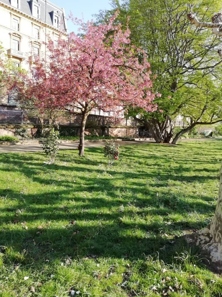 Bürgergarten