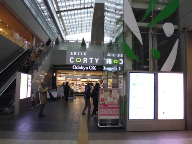 Odakyu Line 'Romance Car'