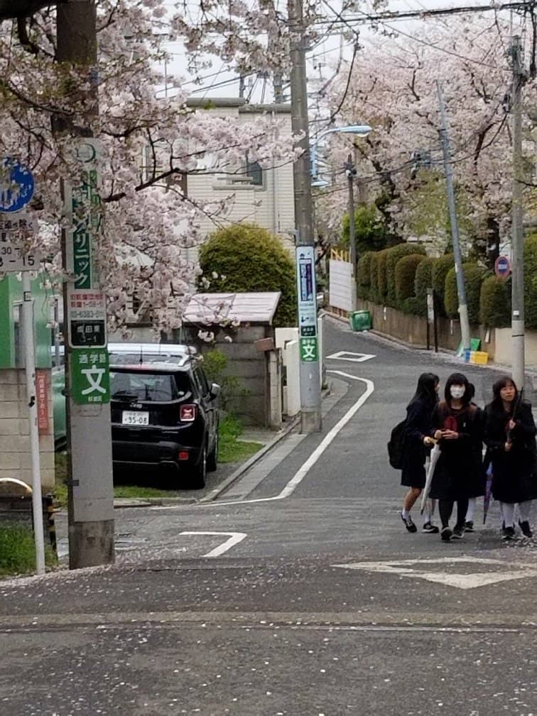 Omiya Hachimangu Shrine
