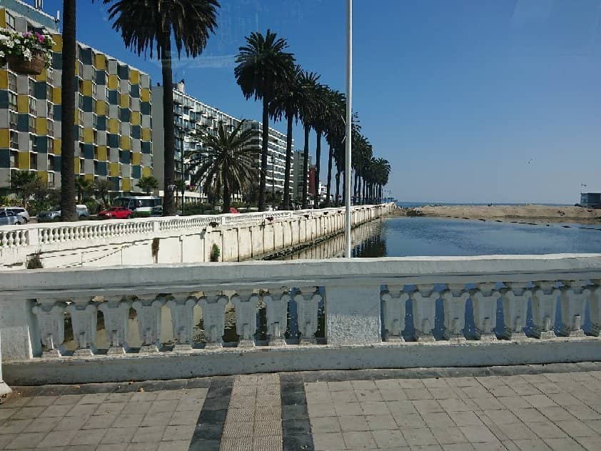 Urban Oasis Views