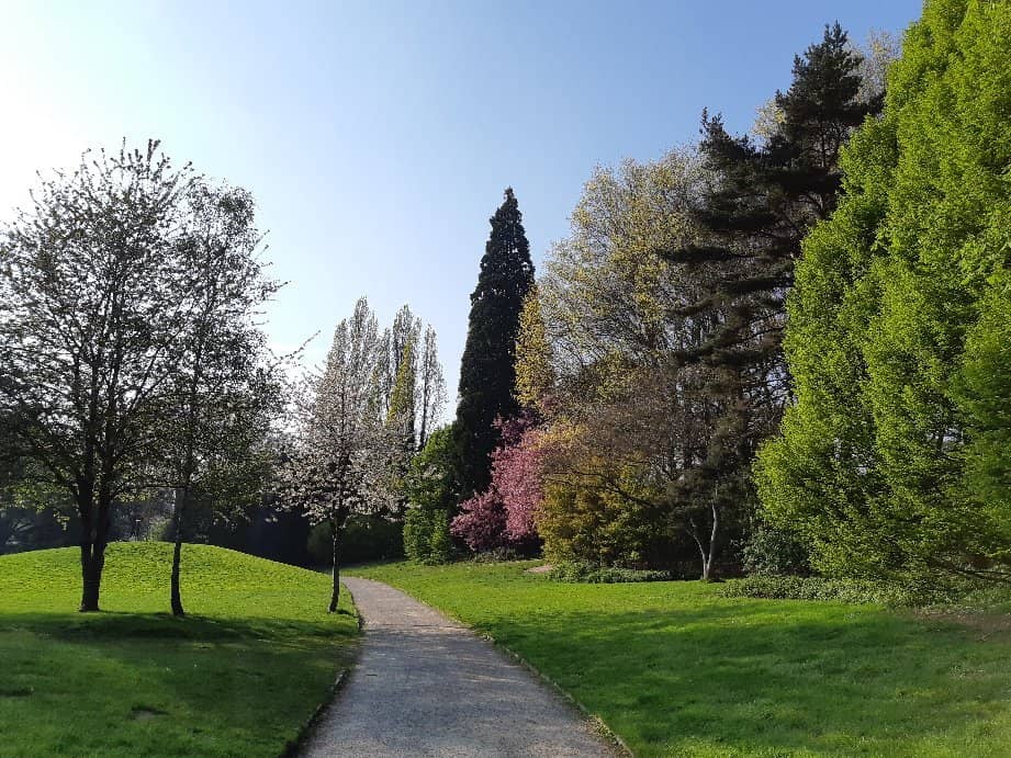 Scenic Walking Trails