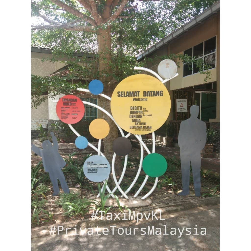 Conservation Presentation