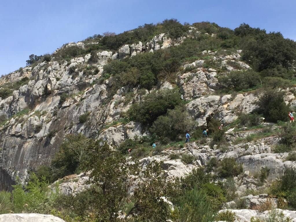 Vertical photo