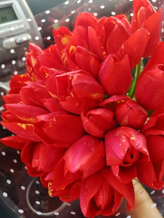 Metro & Airport Access