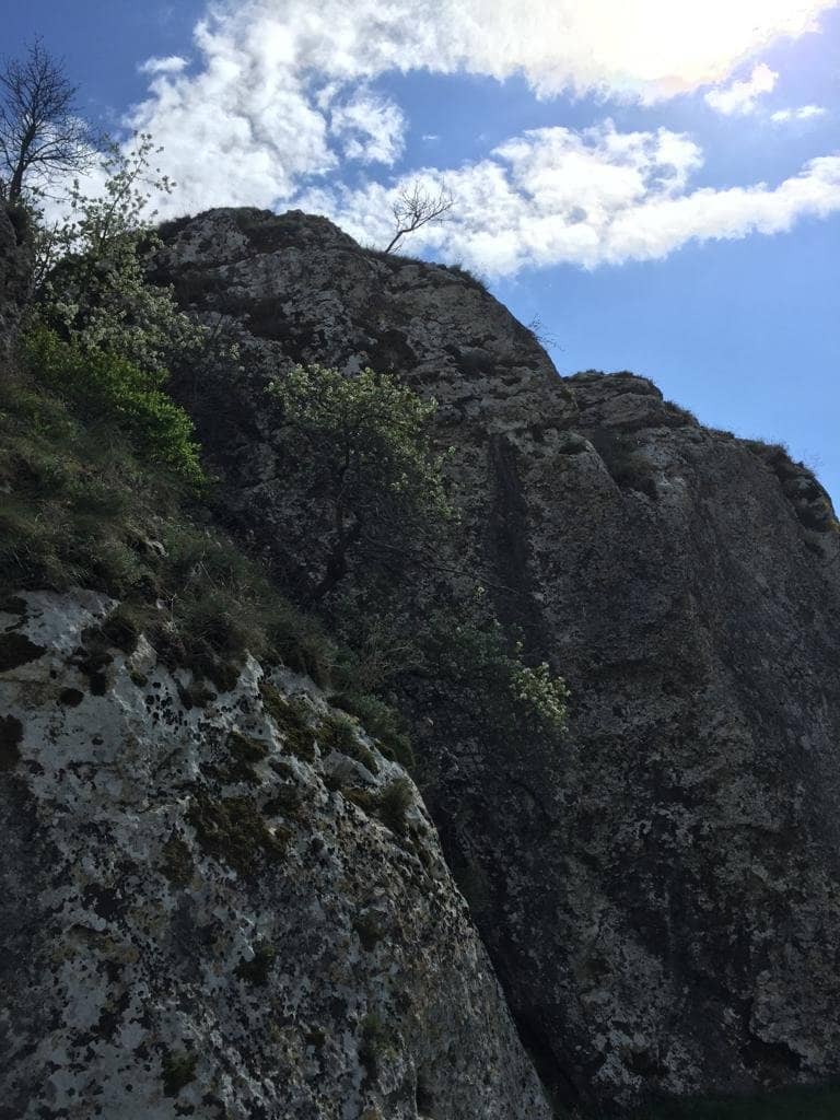 Liliecilor Cave