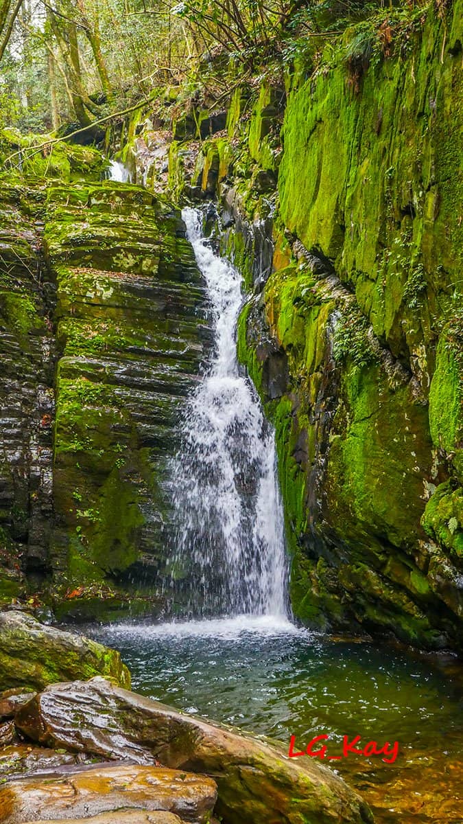Vertical photo
