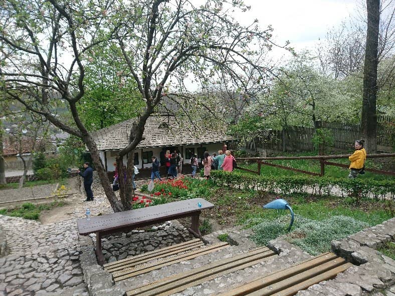 Engaging Guided Tours