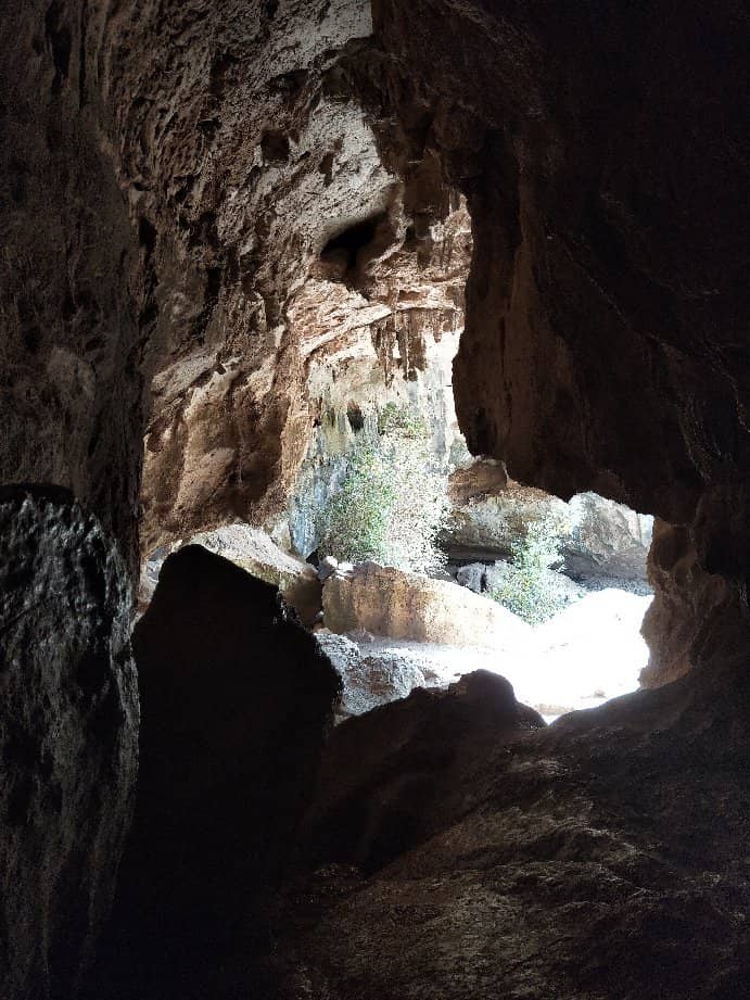 Vertical photo