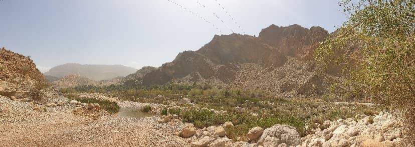 Vertical photo
