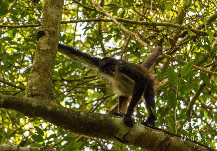 Crystal-Clear Waters & Caves