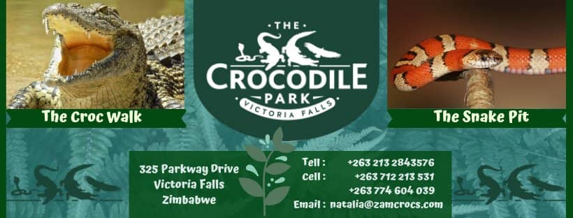 Cage Diving with Crocodiles