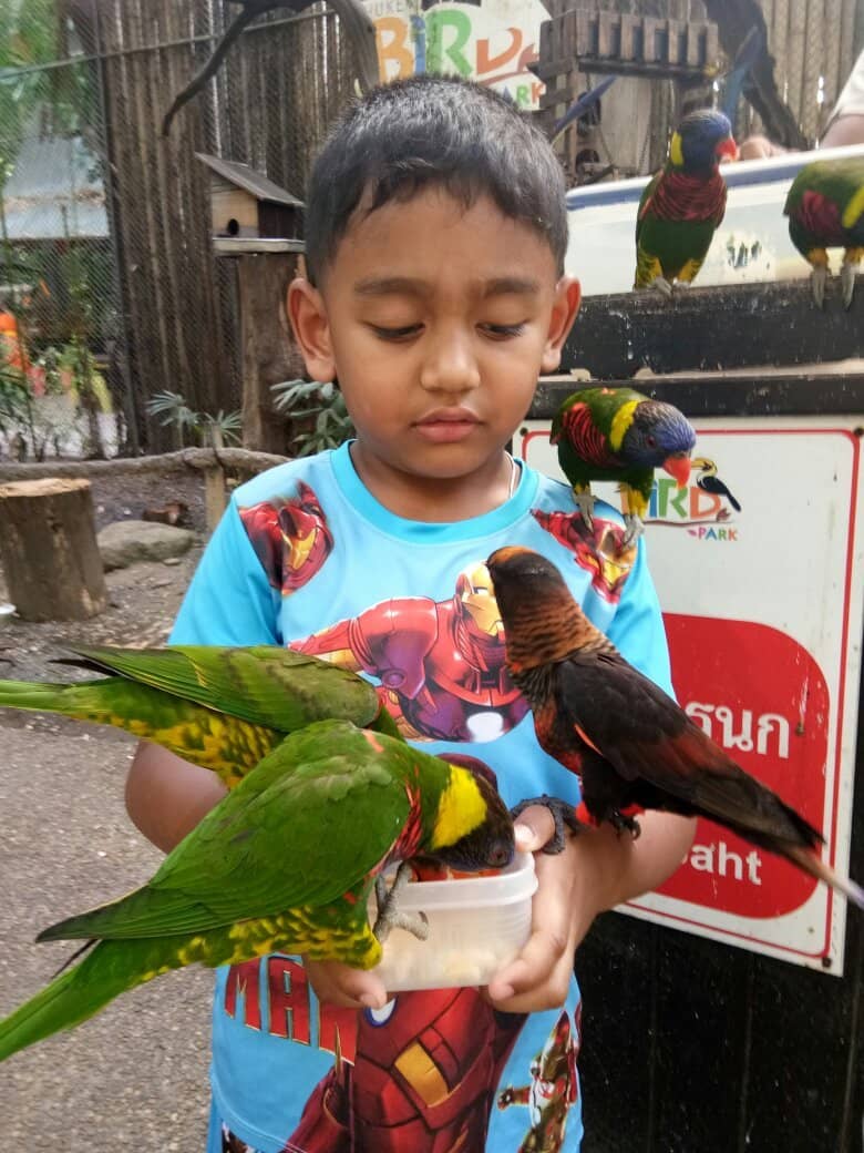 Interactive Bird Encounters