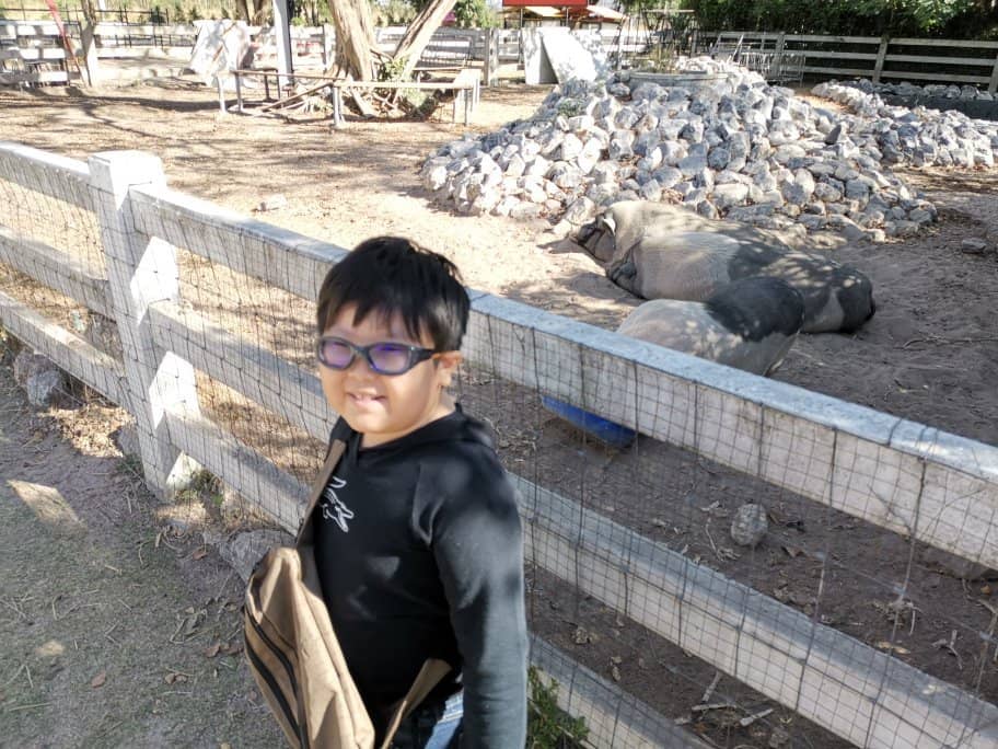 Scenic Panorama Views