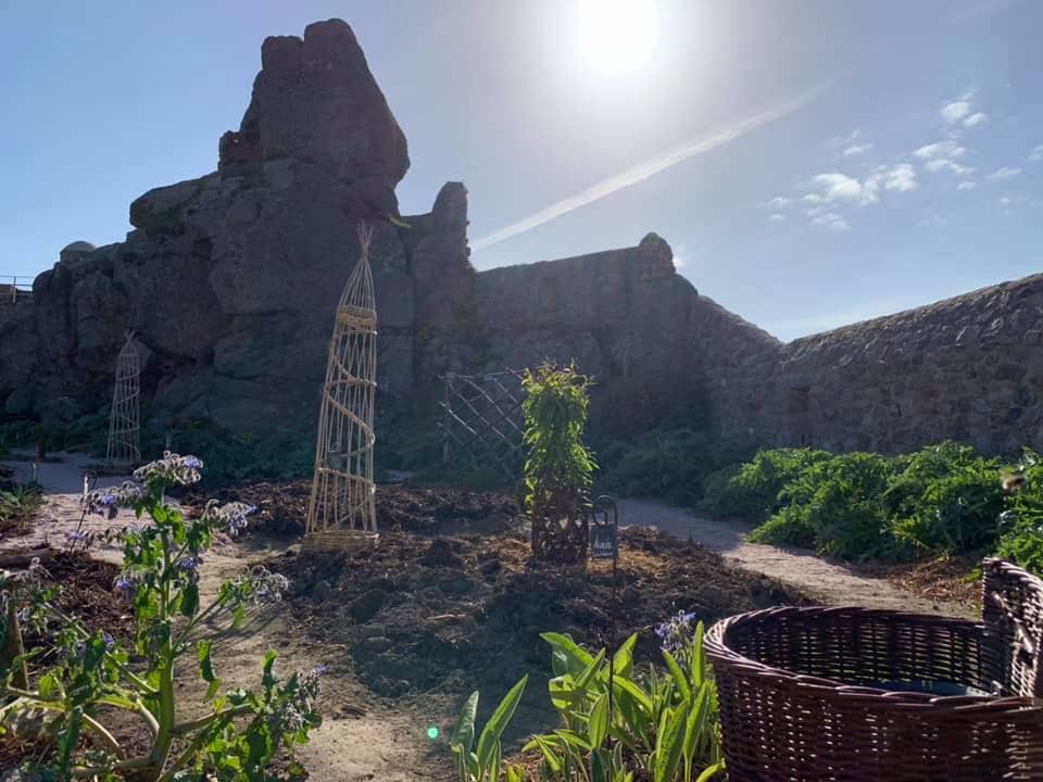 Towering Ramparts