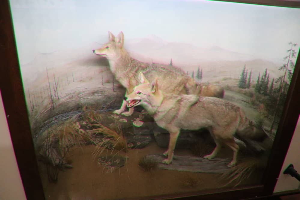 Traveling Exhibits