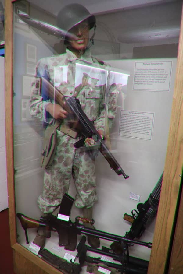 Natural History Collection