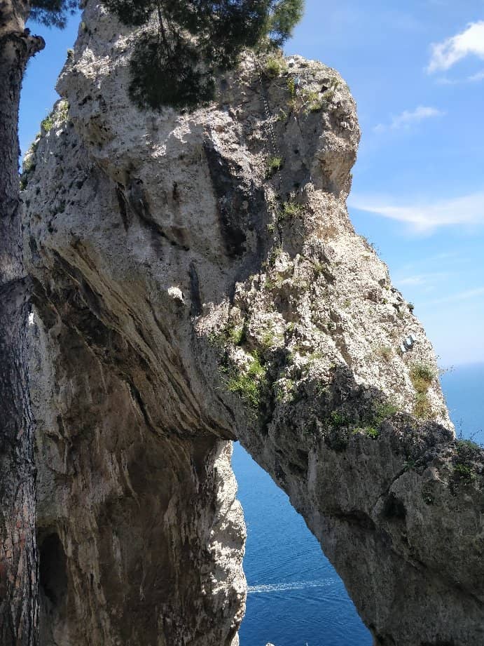 Scenic Selfie Stand