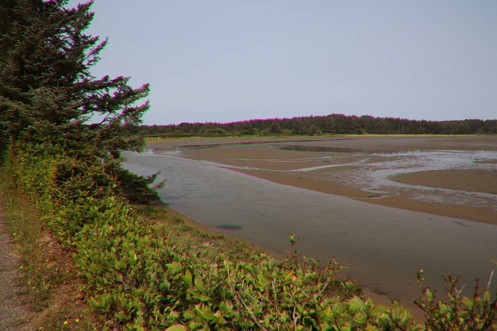 Forest and Wetland Trails