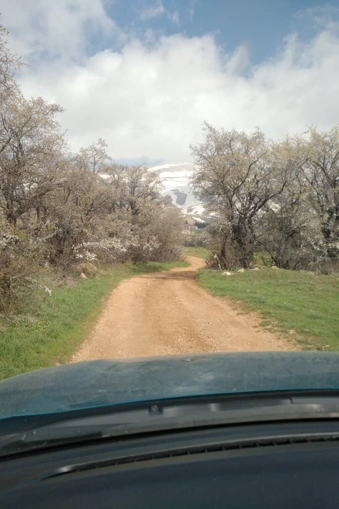 Hiking Trails