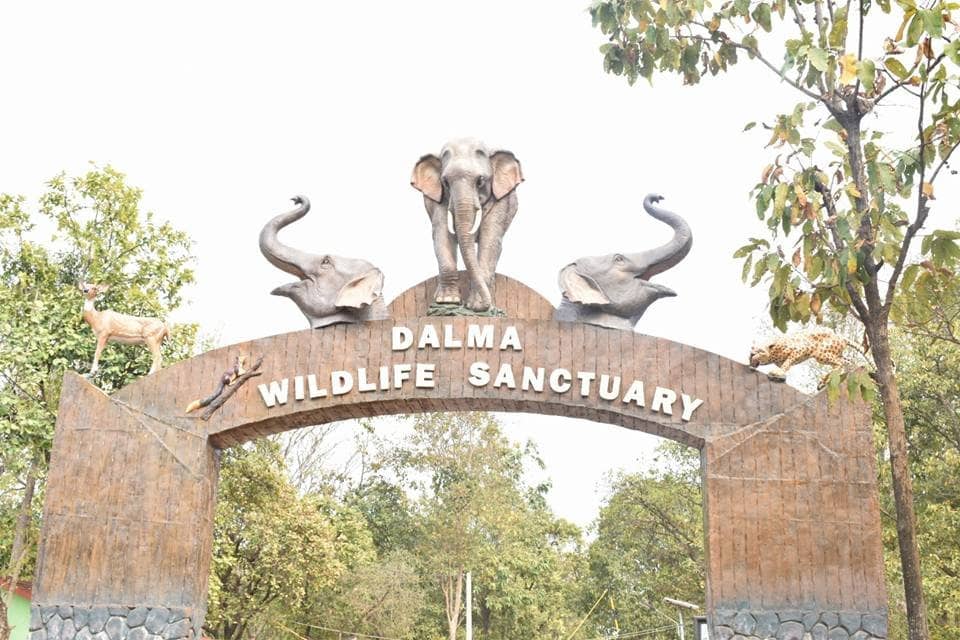 Dalma Wildlife Sanctuary