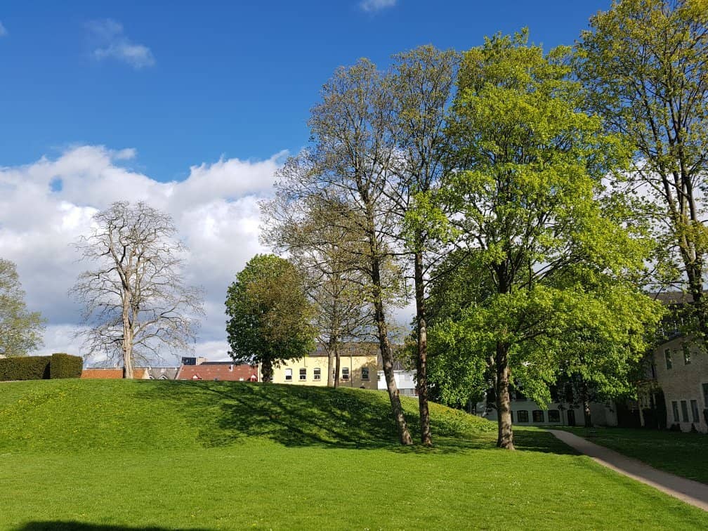 Historic Half-Timbered Architecture