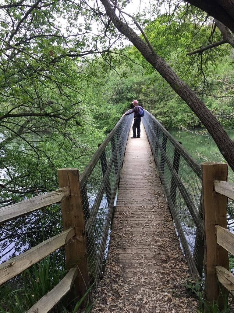 Vertical photo