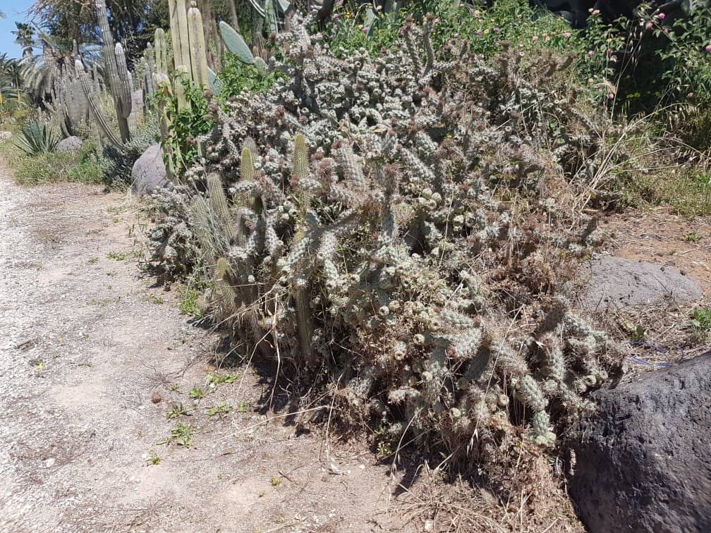 Stonehenge-esque Rock Circle