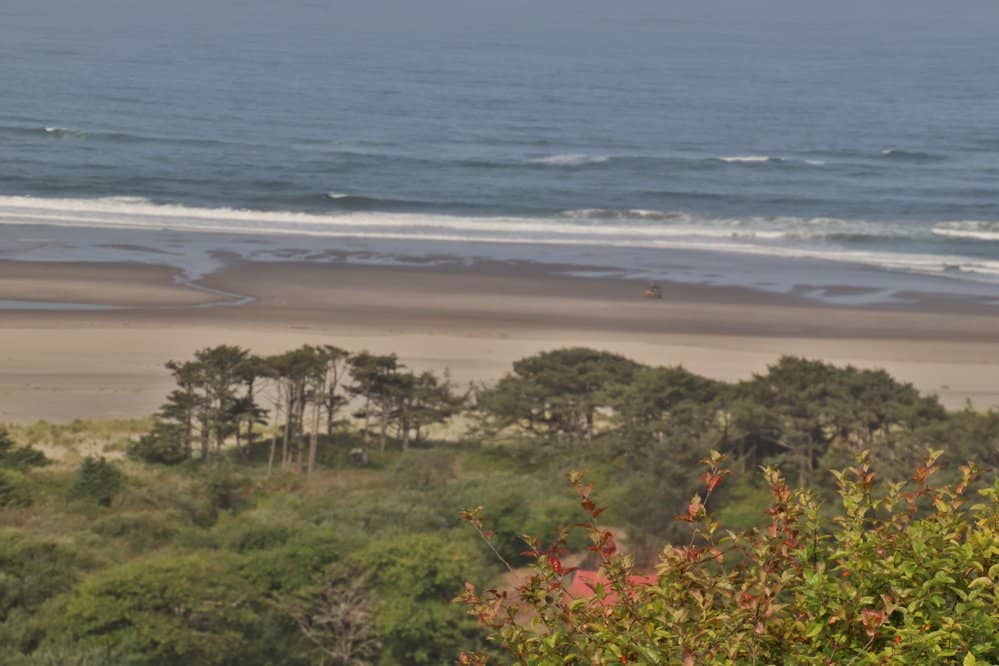 Secluded Beach Strolls