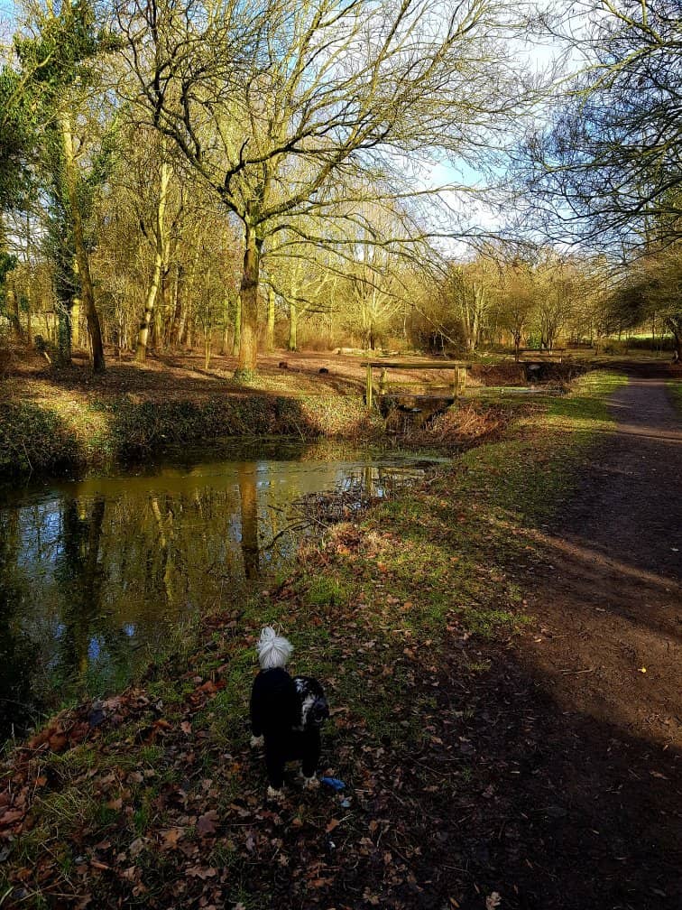 Woodland Trails