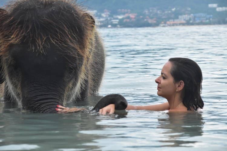 Calm, Fish-Filled Waters